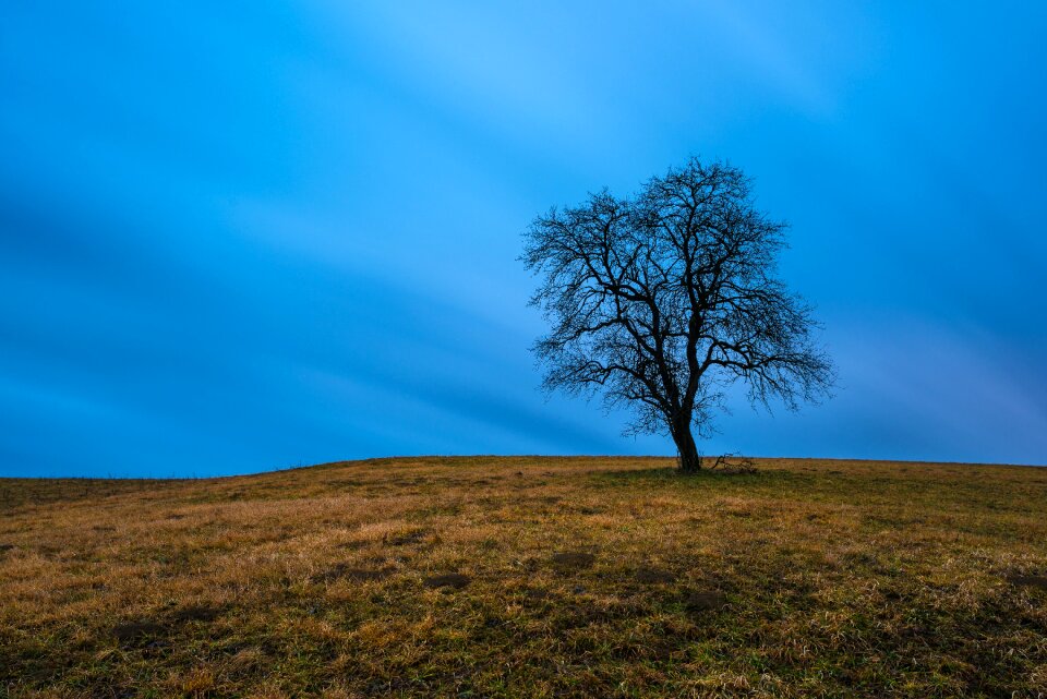 Free stock photo from Snapwire