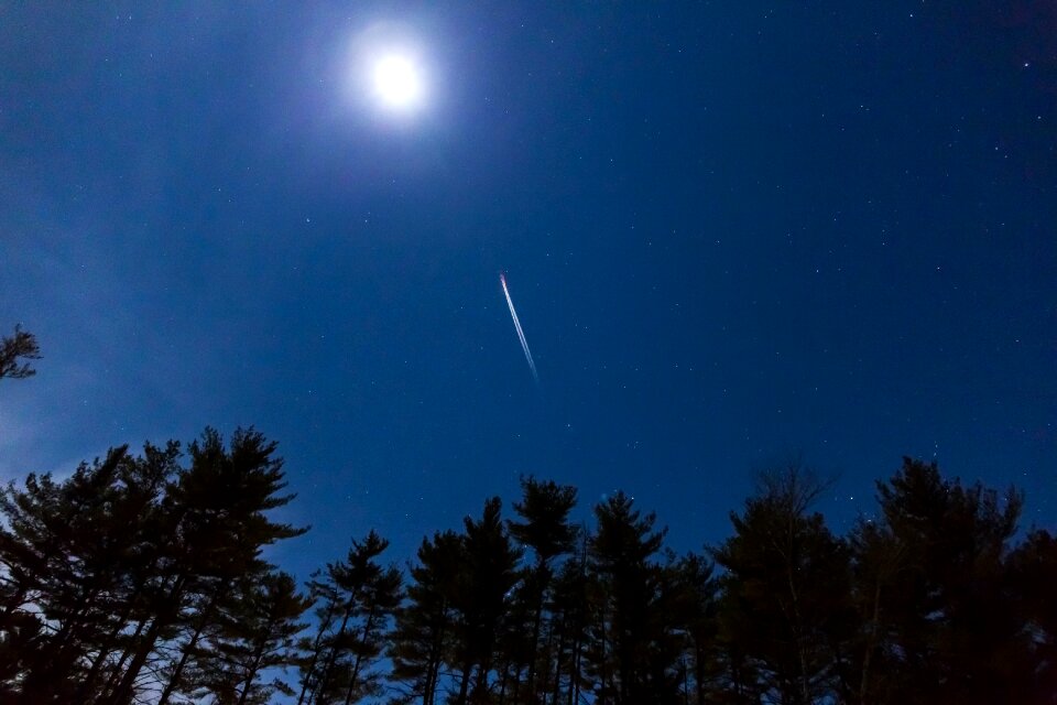 Free stock photo of moon, nature, night