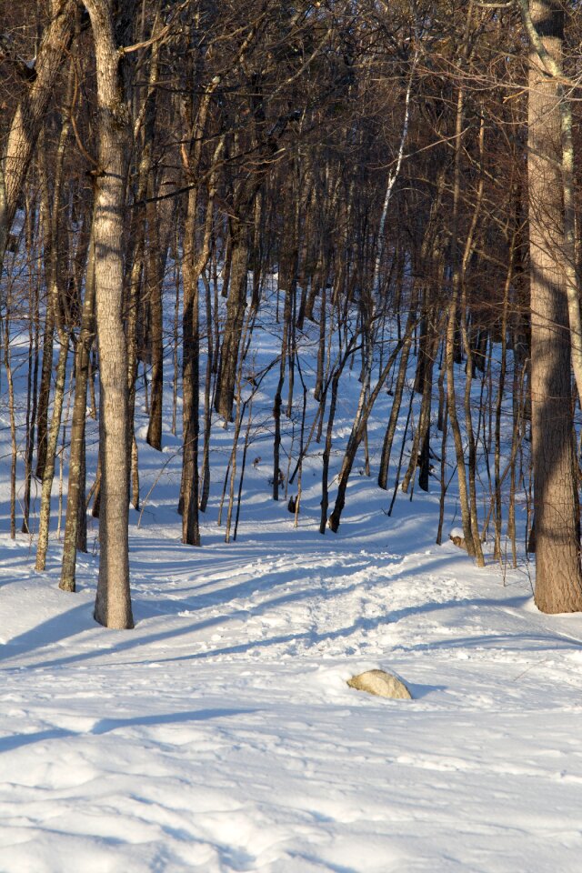 Free stock photo of landscape, nature, snow photo