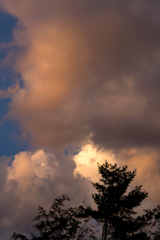 Free stock photo of clouds, nature, sky
