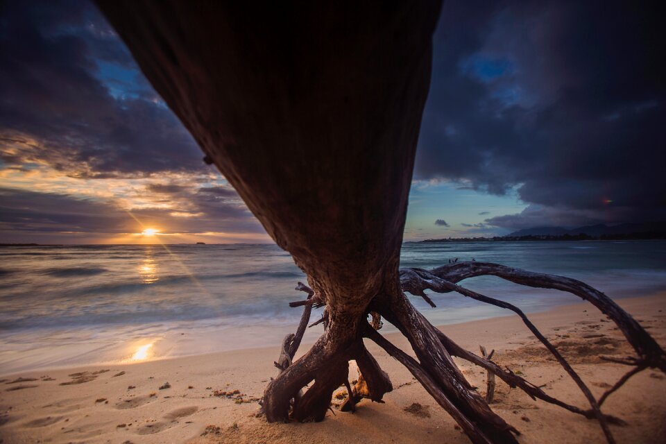 Free stock photo from Snapwire