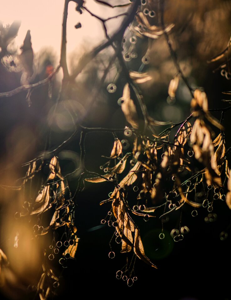 Free stock photo from Snapwire
