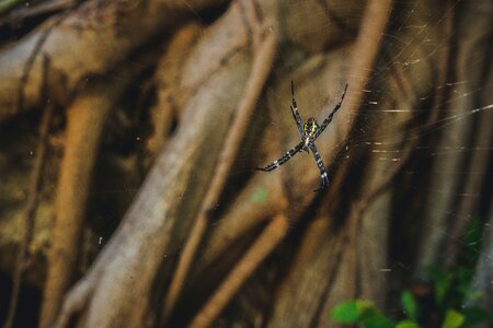 Free stock photo from Photo Collections