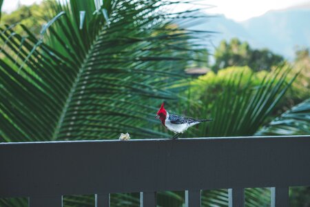 Free stock photo from Photo Collections