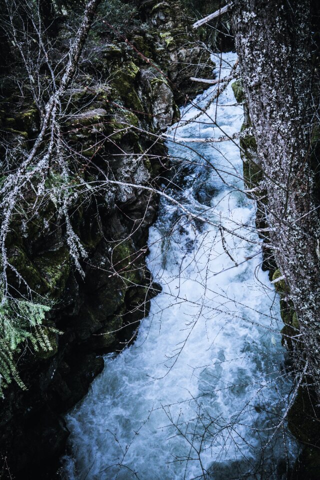 Free stock photo from Photo Collections