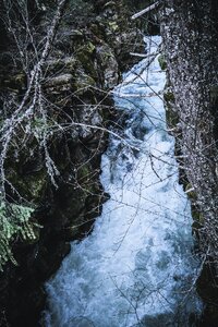 Free stock photo from Photo Collections