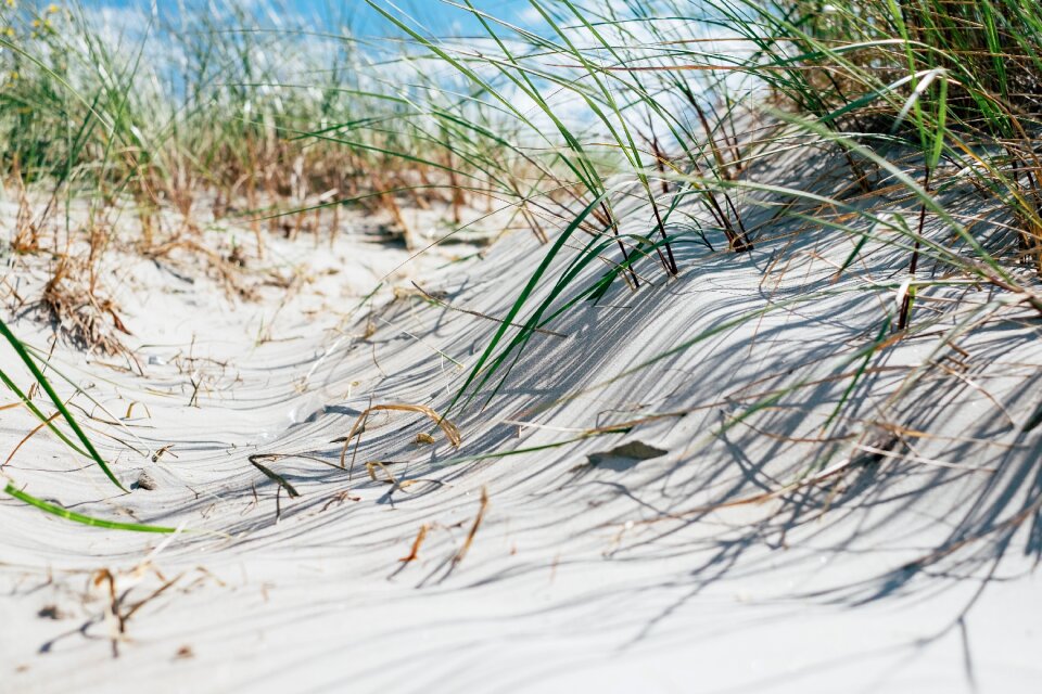 Free stock photo from Snapwire
