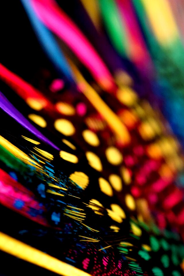 Free stock photo from Snapwire