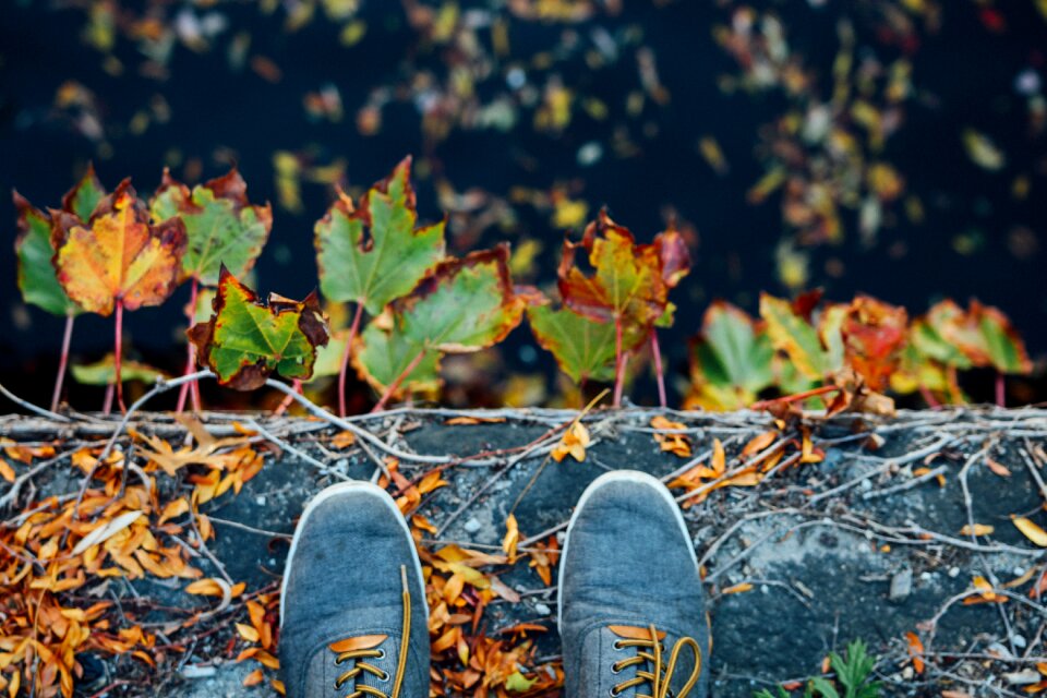 Free stock photo from Snapwire