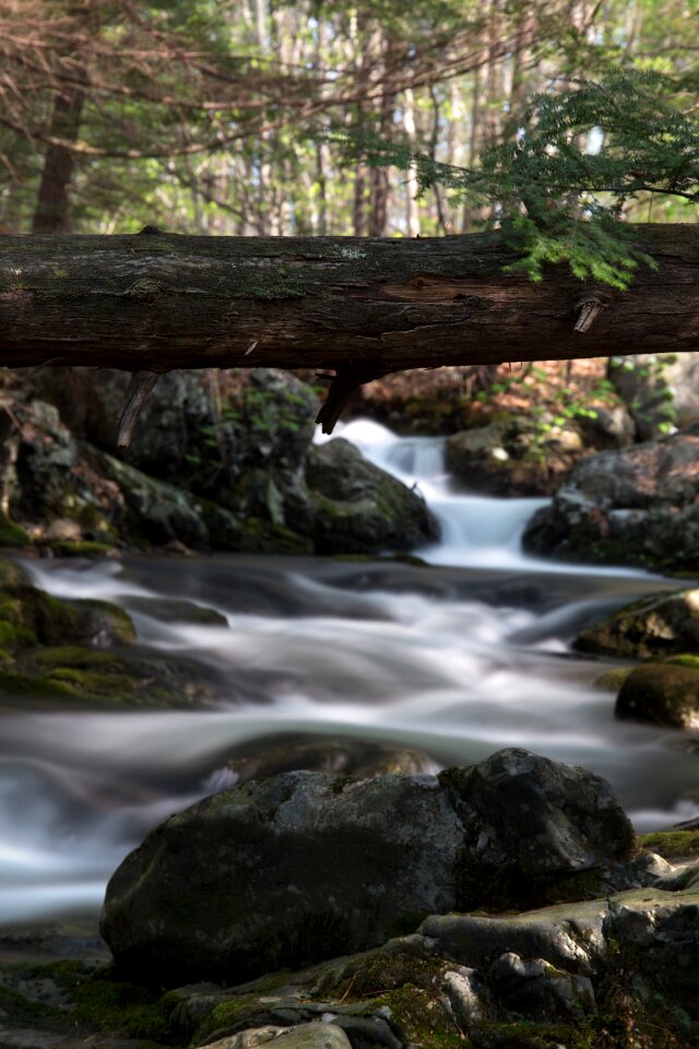 Free stock photo of nature, rocks, stream