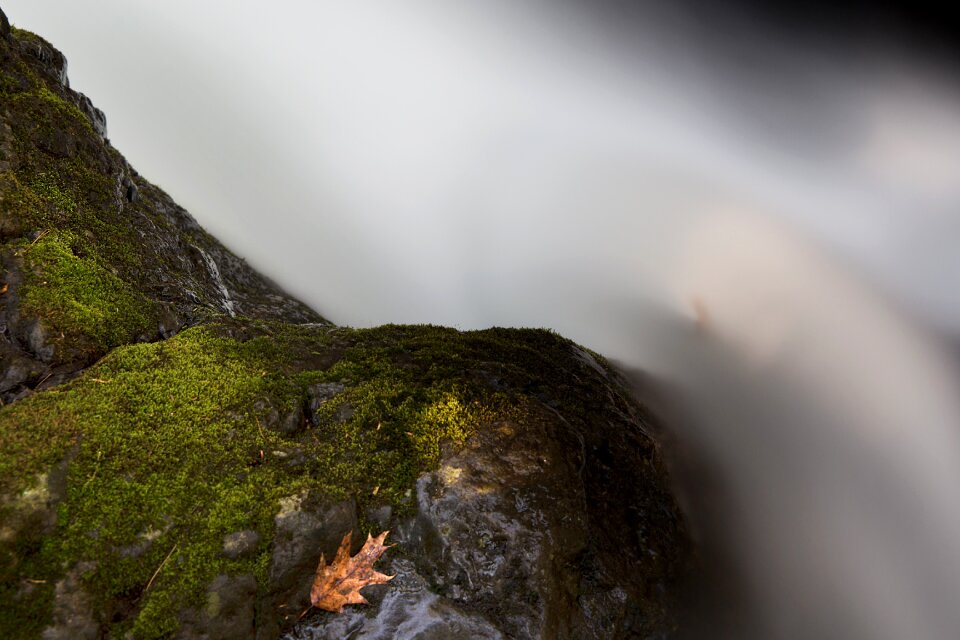 Free stock photo of nature, rocks, stream