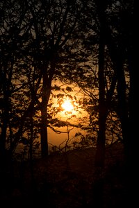 Free stock photo of nature, sky, sunset