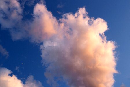 Free stock photo of clouds, moon, nature photo