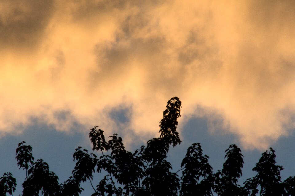 Free stock photo of clouds, nature, sky