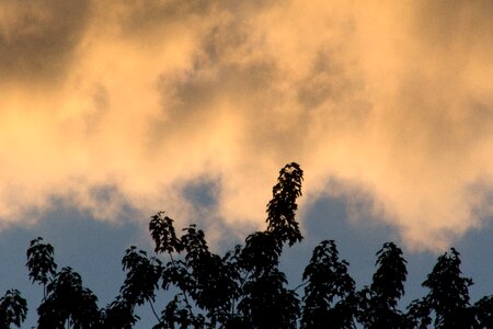 Free stock photo of clouds, nature, sky