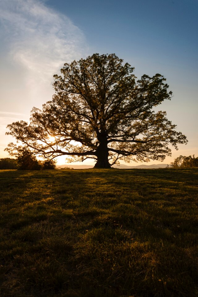 Free stock photo from Snapwire