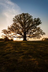Free stock photo from Snapwire