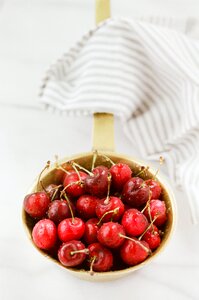 Free stock photo from Snapwire