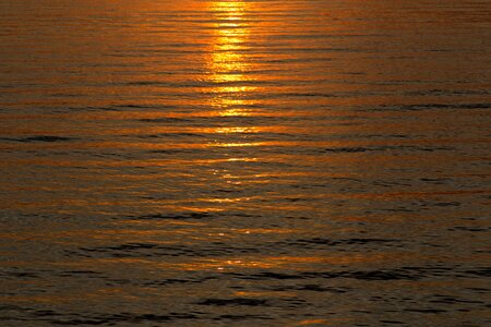 Free stock photo of nature, summer, sunlight