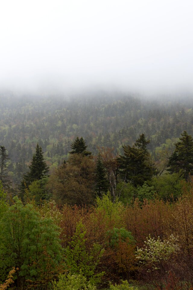 Free stock photo of clouds, fog, landscape