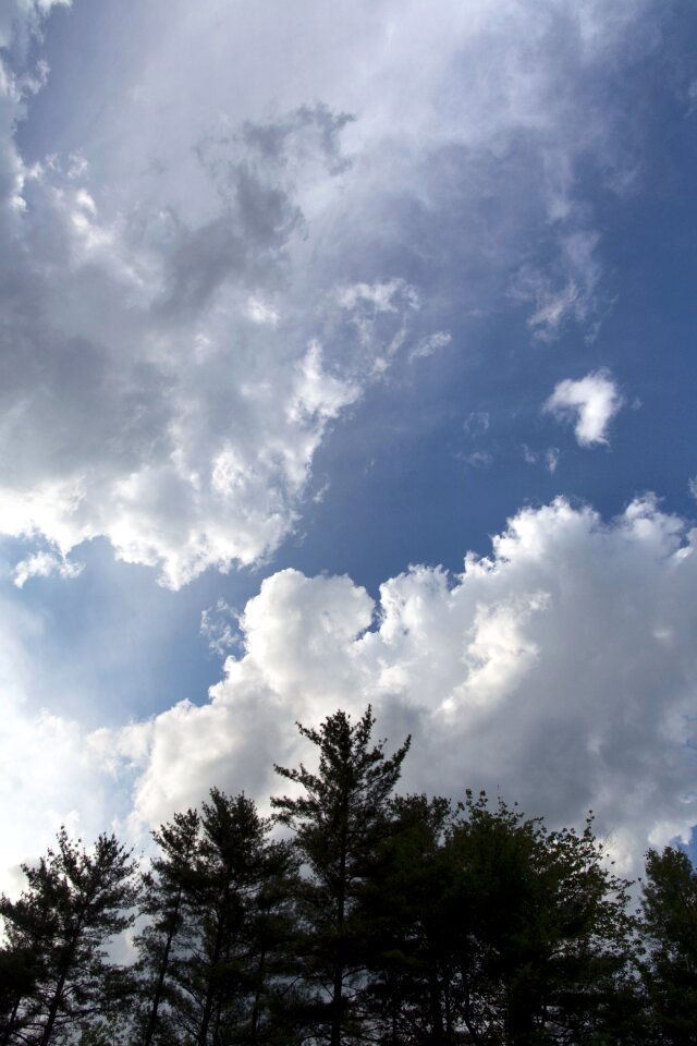 Free stock photo of clouds, nature, sky