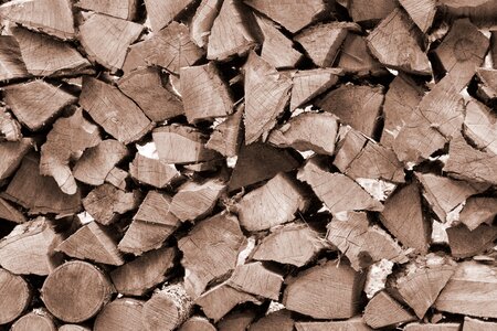 Free stock photo of grain, nature, texture