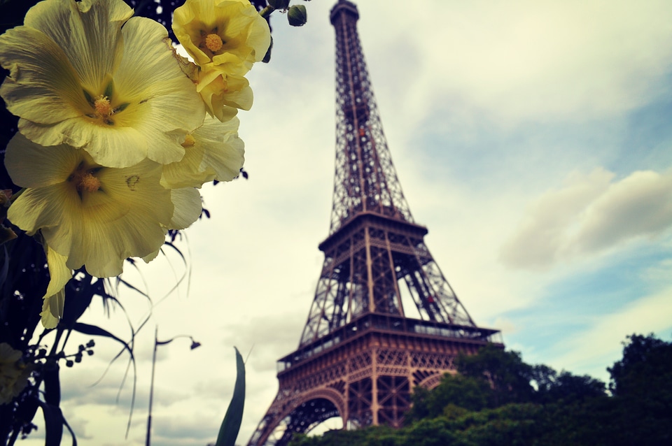 Tower travel flower