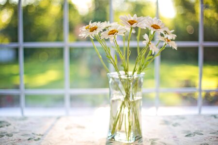 White Flowers on Glass Vase photo