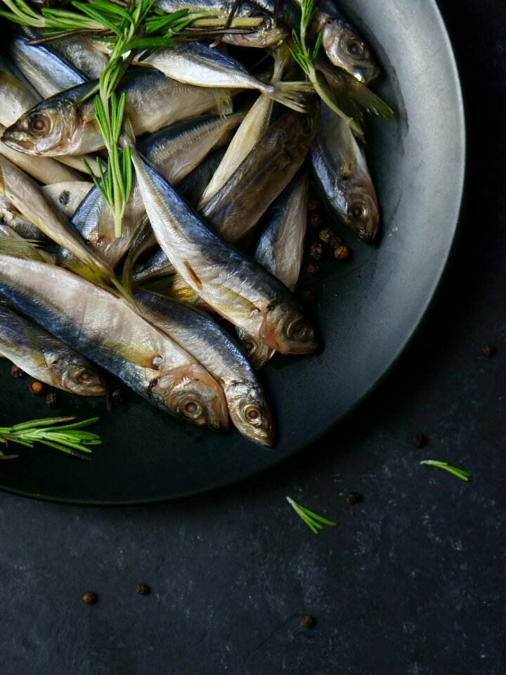 Free stock photo from Snapwire
