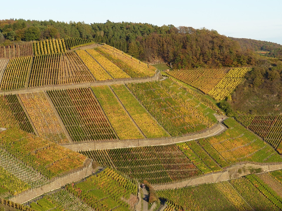 Landscape autumn mountain