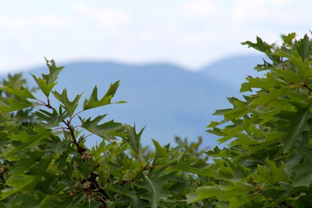 Free stock photo of mountains, nature, sky