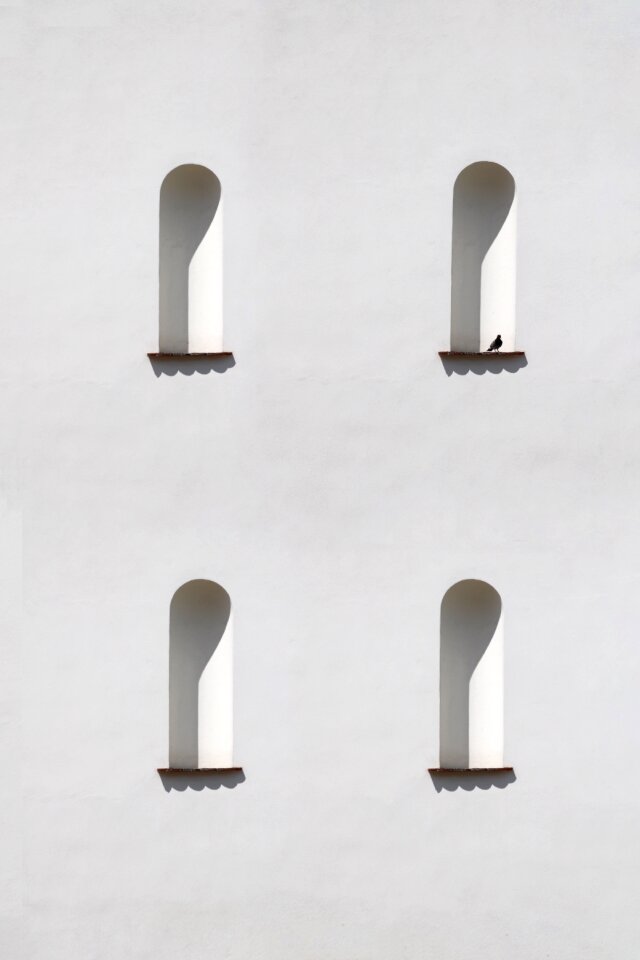 Free stock photo from Snapwire