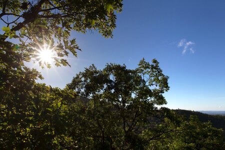 Free stock photo of nature, sky, summer
