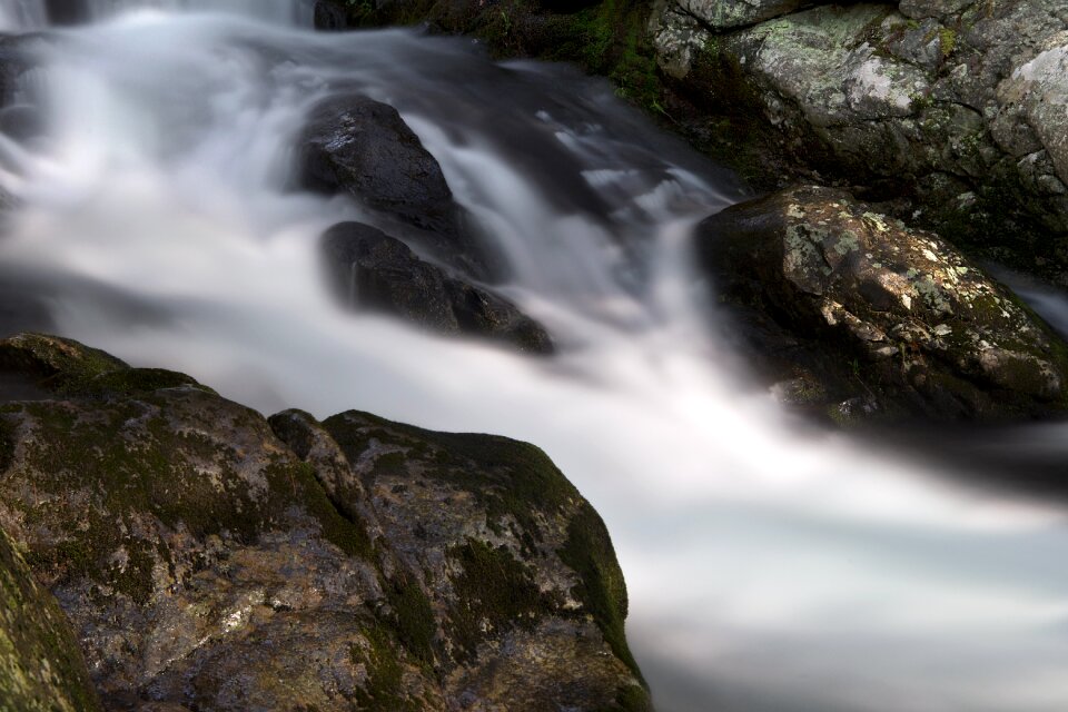 Free stock photo of nature, rocks, stream