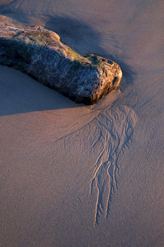 Free stock photo of beach, nature, ocean