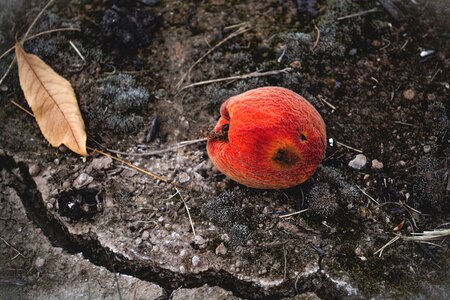 Free stock photo from Photo Collections