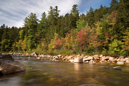 Green Trees and Rocky River photo