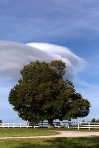 Free stock photo of clouds, nature, sky photo