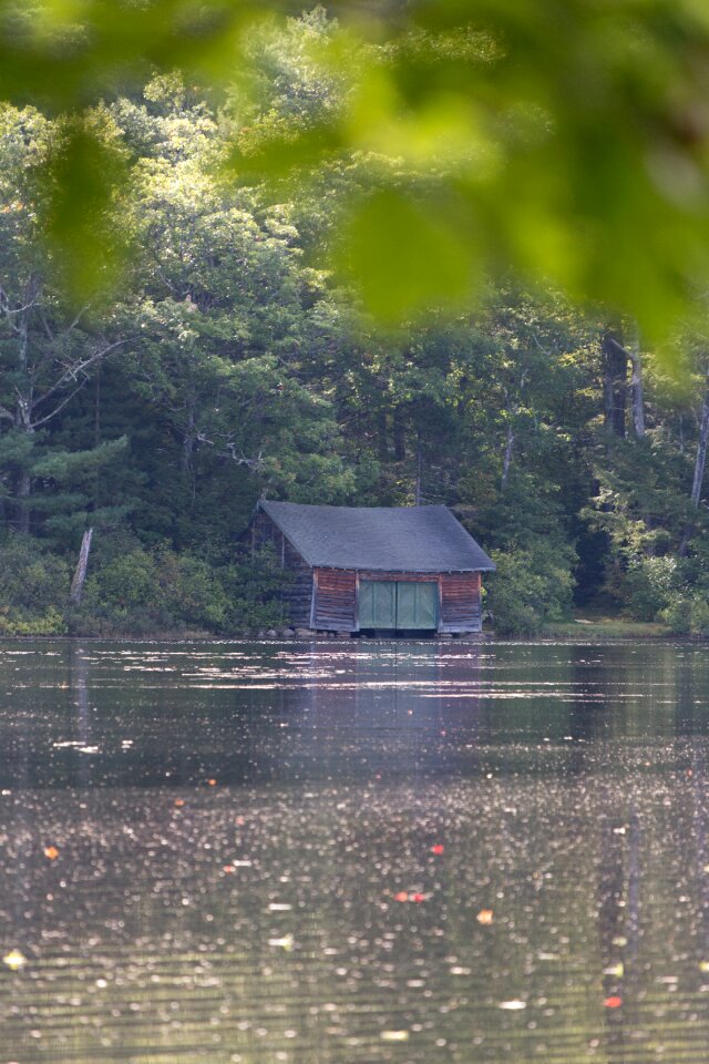 Free stock photo of cabin, nature, trees