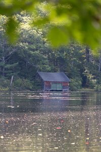 Free stock photo of cabin, nature, trees