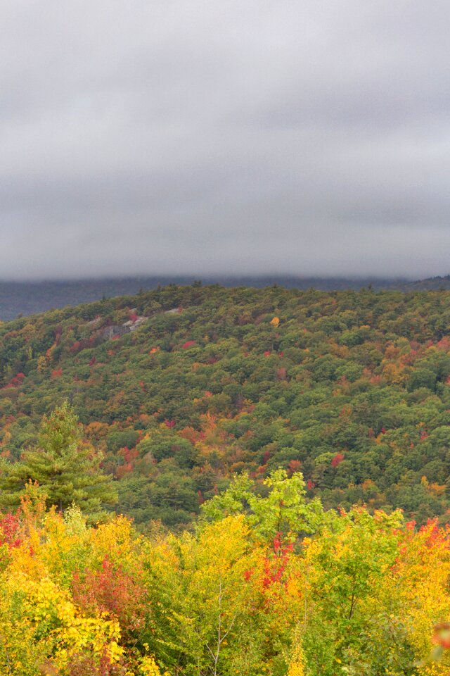 Free stock photo of clouds, foliage, landscape