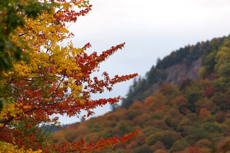 Free stock photo of foliage, landscape, mountains photo