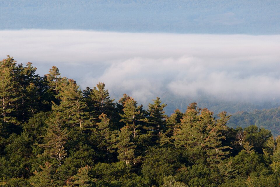 Free stock photo of clouds, fog, landscape