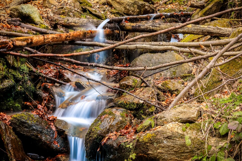 Free stock photo from Snapwire