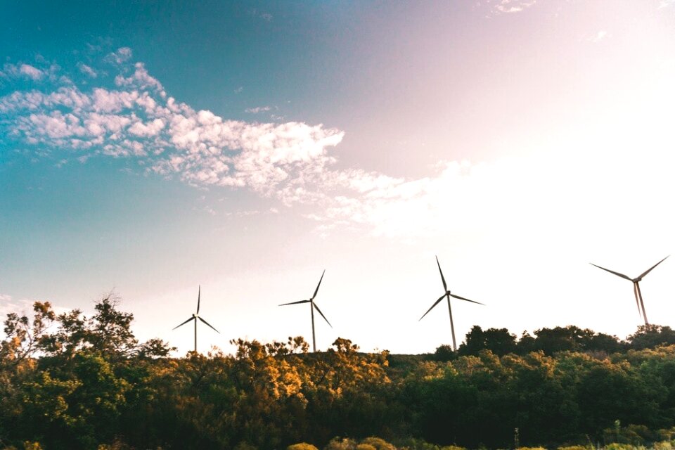 Windmill Near Green Trees photo