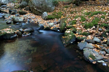 Free stock photo of foliage, landscape, nature