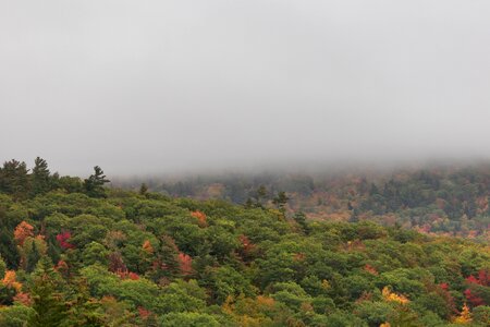 Free stock photo of fog, landscape, mountains