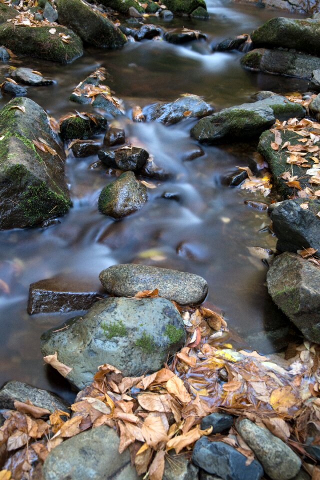 Free stock photo of nature, rocks, stream