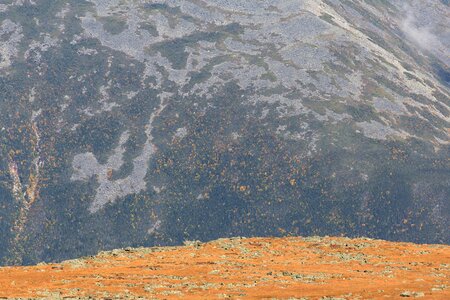 Free stock photo of foliage, landscape, mountains photo