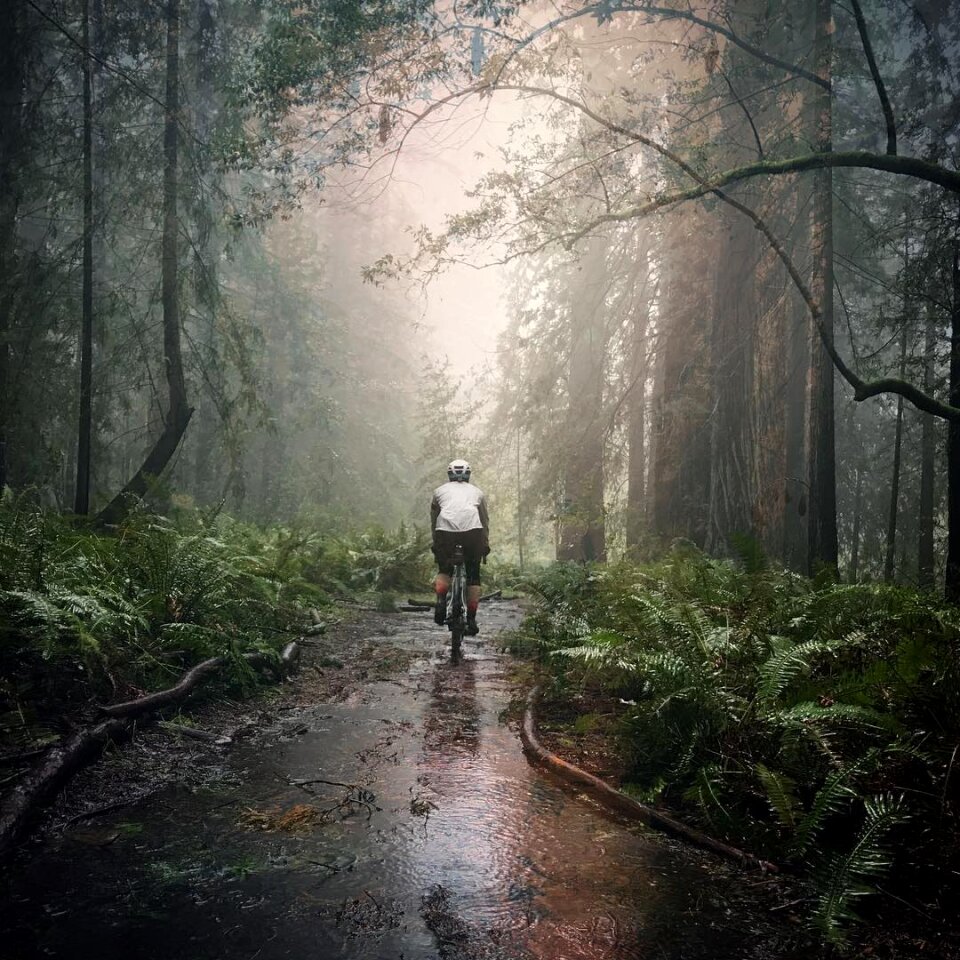 Free stock photo from Snapwire